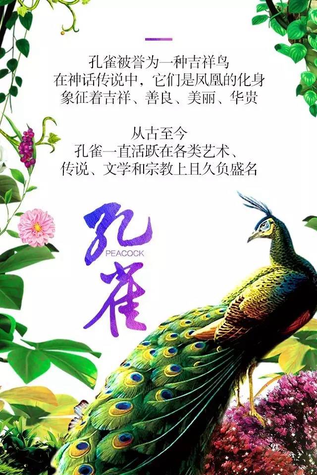 【915-918邵陽(yáng)秋季車(chē)展】鳳臨枝頭，雀雀雀雀雀實(shí)驚艷！