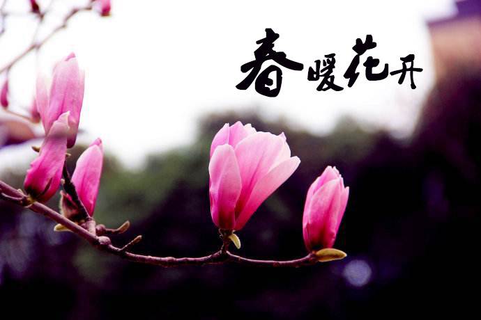 春暖花開 教你春季如何做汽車保養(yǎng)！