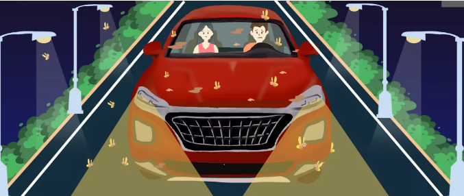 安全清除車身飛蟲，僅需十分鐘